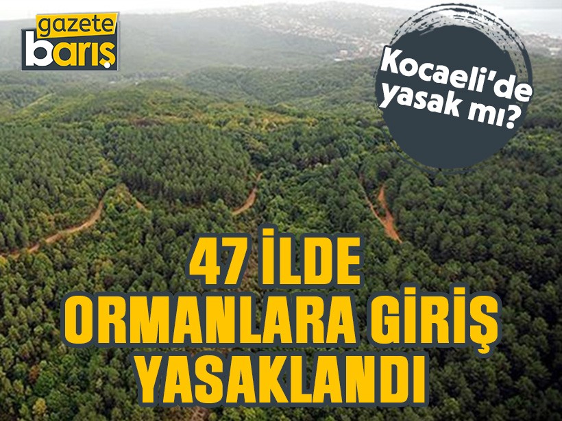 47 ilde ormanlara giriş yasak. Kocaeli'de yasak mı?