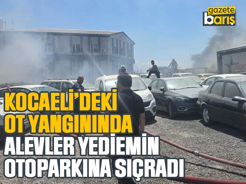 Kocaeli’deki ot yangınında alevler yediemin otoparkına sıçradı