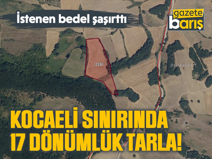 İstenen bedel şaşırttı. Kocaeli sınırında 17 dönümlük tarla!