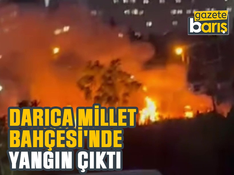 Darıca Millet Bahçesi'nde yangın çıktı