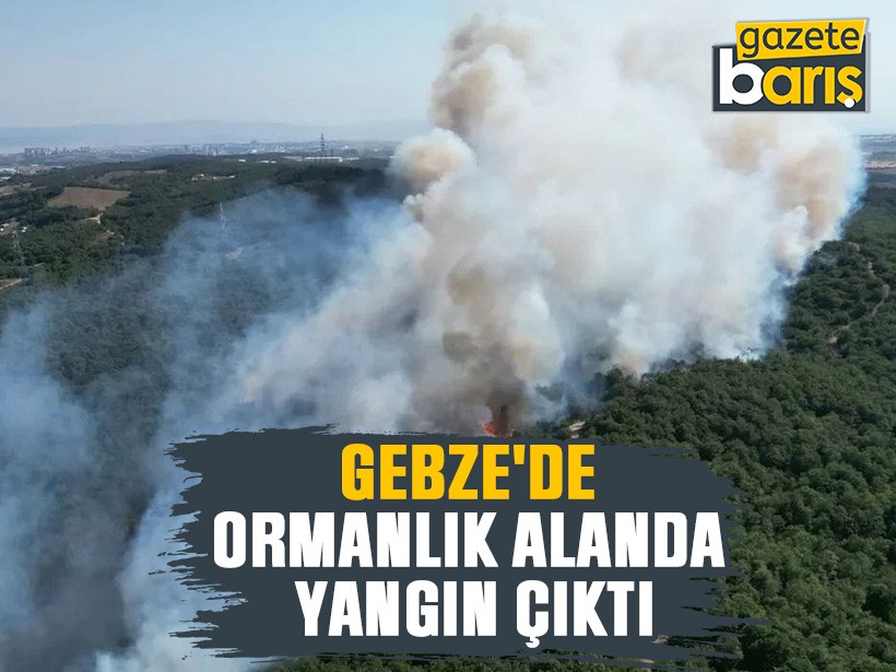 Gebze'de ormanlık alanda yangın çıktı