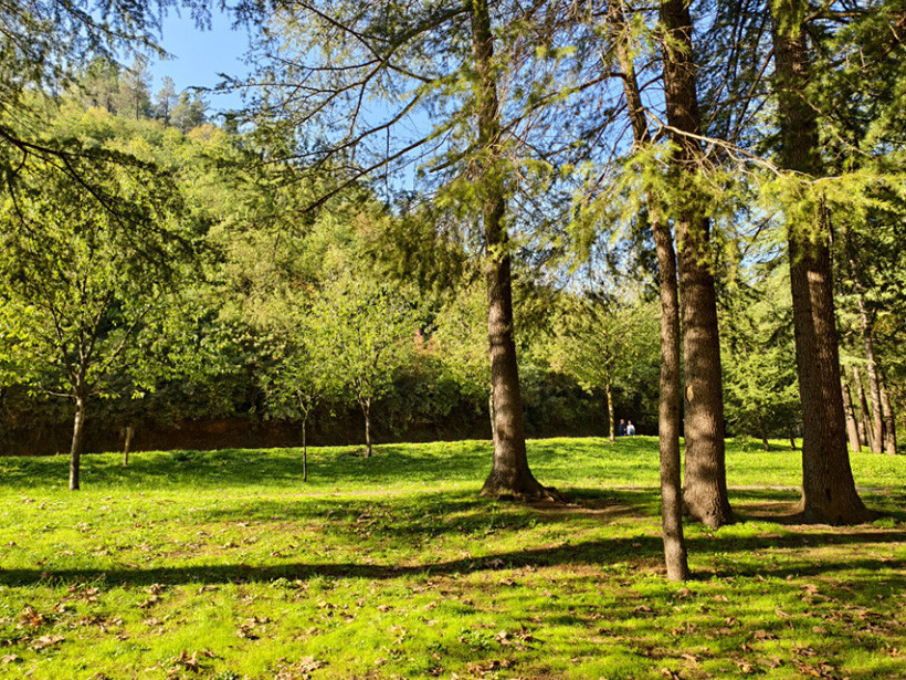 Fotoğraf Kocaeli'den. Kışı değil, yazı karşılar gibi!