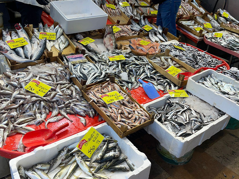 Kocaeli’de hamsi hariç güncel balık fiyatları cep yakıyor!