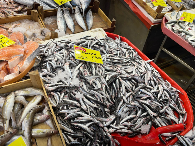 Kocaeli’de hamsi hariç güncel balık fiyatları cep yakıyor!