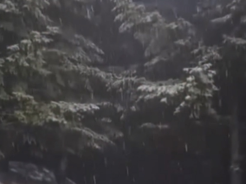 Kocaeli’ye yılın ilk karı düştü