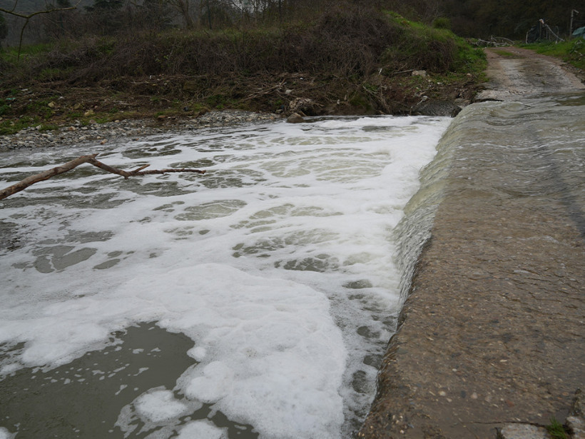 Kocaeli'de köpüren dereden ağır kokular yükseliyor
