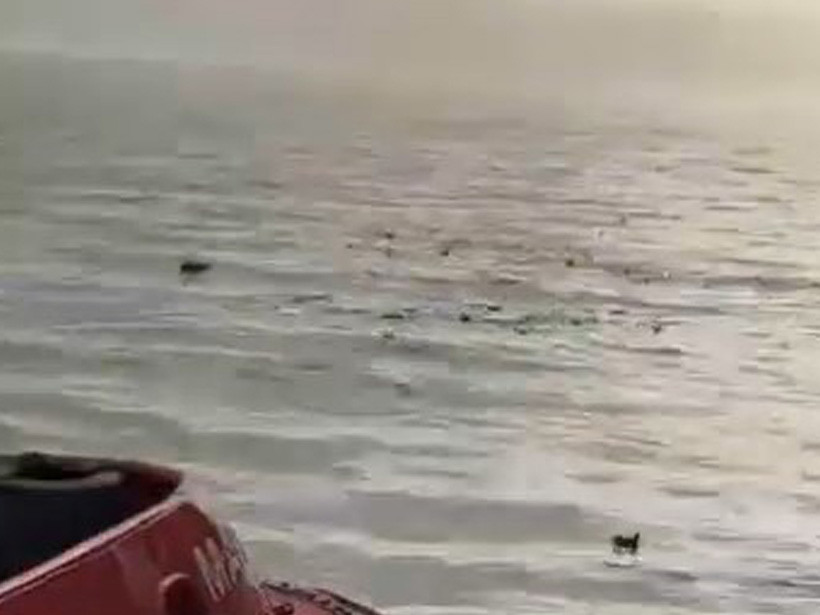 Bunun adı ihanet, İzmit Körfezi’ni çöplüğe çevirdiler!