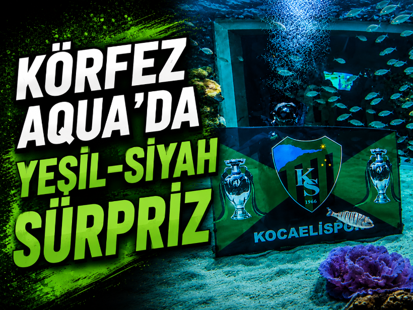 Körfez Aqua’da yeşil-siyah sürpriz