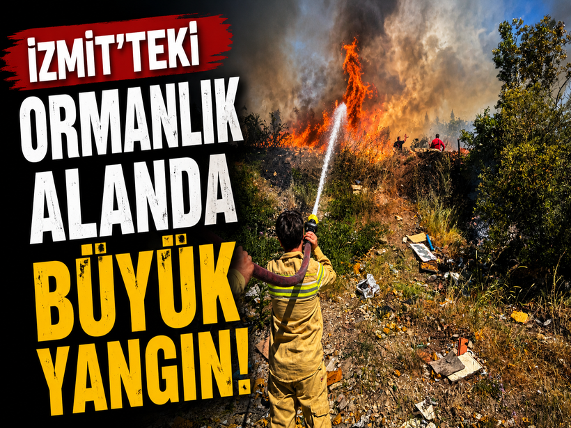 İzmit'teki ormanlık alanda büyük yangın!