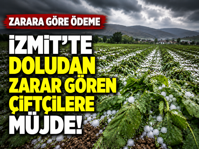Zarara göre ödeme: İzmit’te doludan zarar gören çiftçilere müjde!