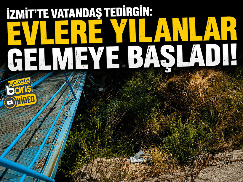 İzmit’te vatandaş tedirgin: Evlere yılanlar gelmeye başladı!