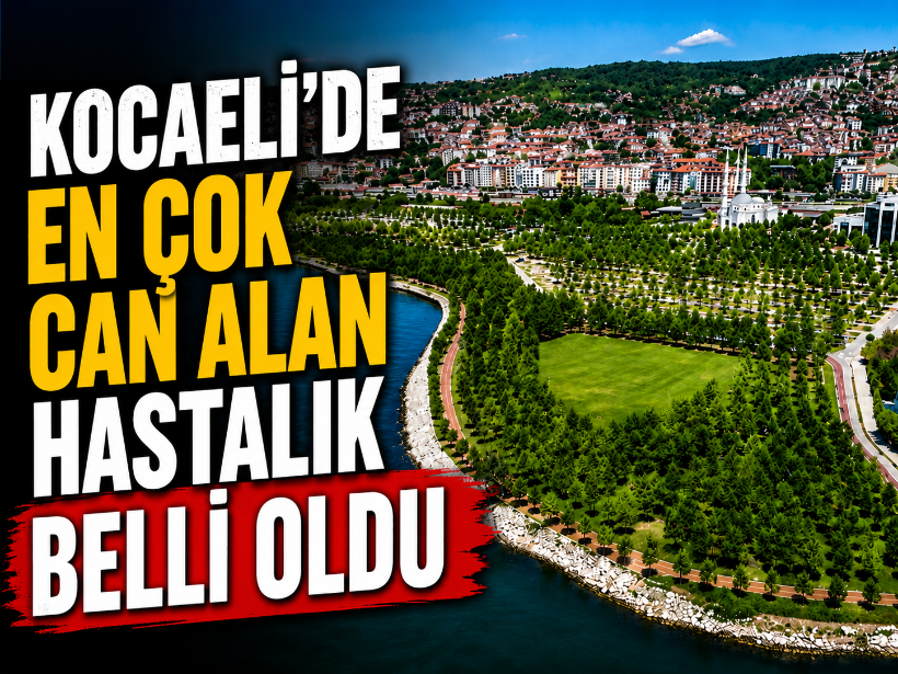 Kocaeli'de en çok can alan hastalık belli oldu