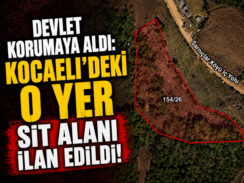 Devlet korumaya aldı: Kocaeli'deki o yer sit alanı ilan edildi!