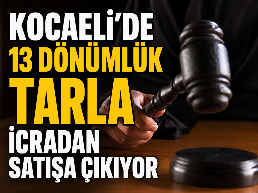 Kocaeli'de 13 dönümlük tarla icradan satışa çıkıyor