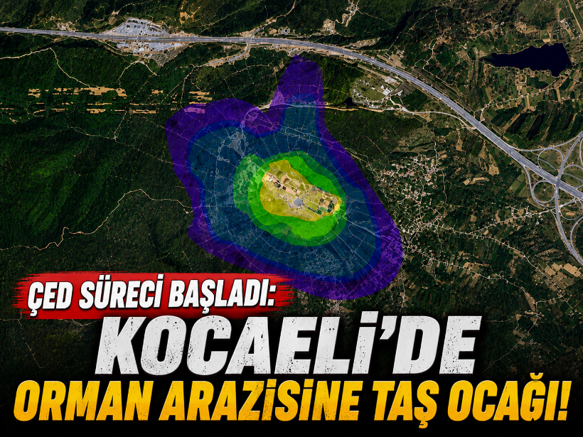 ÇED süreci başladı: Kocaeli’de orman arazisine taş ocağı!