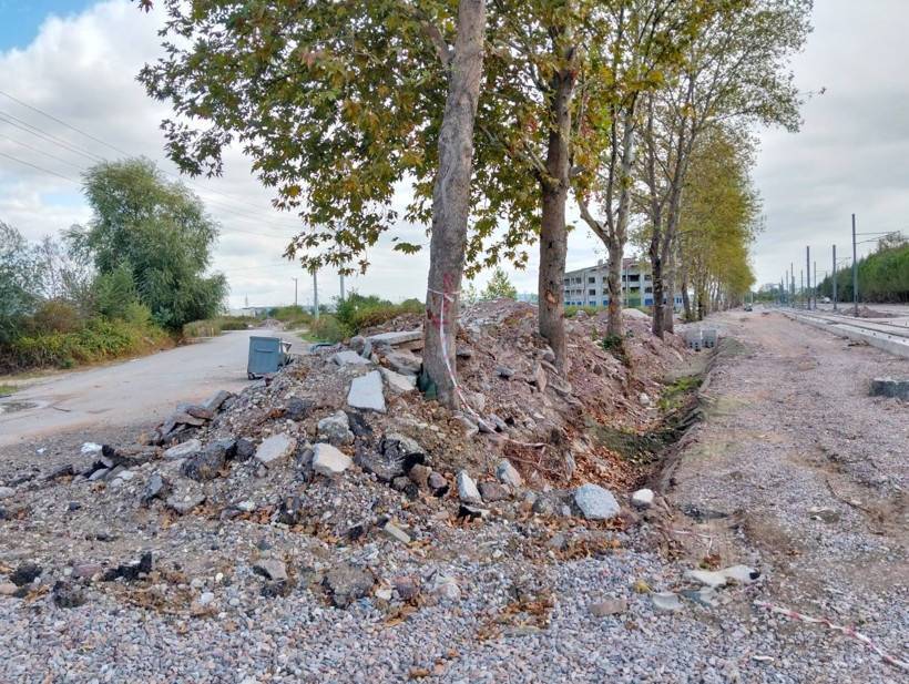 Stadyum yolu çalışmalarında ağaç hassasiyeti çağrısı