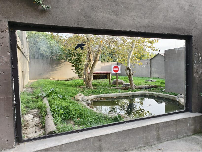 Darıca Faruk Yalçın Hayvanat Bahçesi'nde neler oluyor?