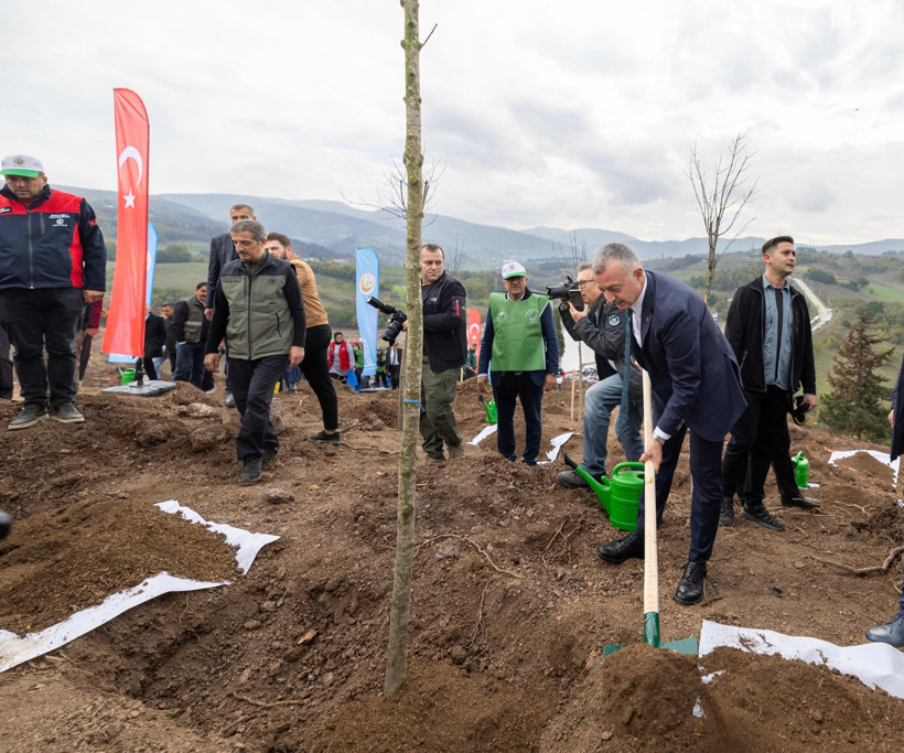 Karamürsel yeniden yeşeriyor: 3 bin fidan toprakla buluştu