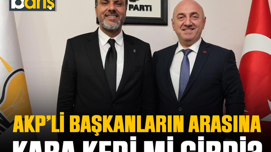 AKP’li Başkanların arasına kara kedi mi girdi?