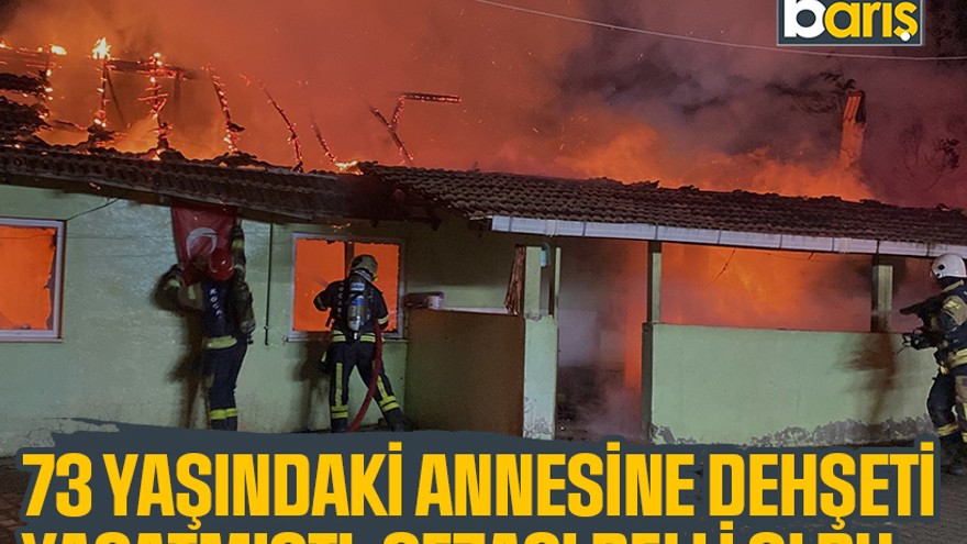 Kocaeli'de 73 yaşındaki annesine dehşeti yaşatmıştı, cezası belli oldu