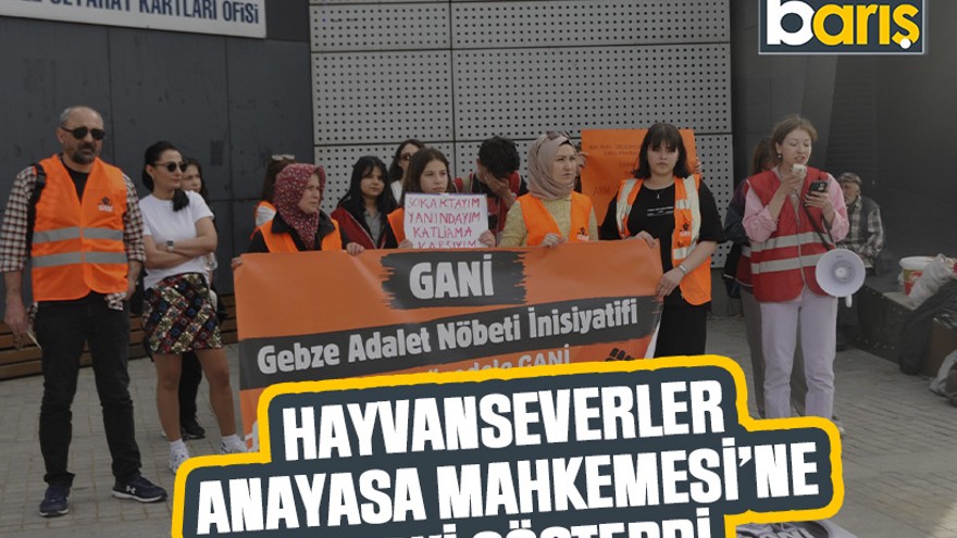 Hayvanseverler Anayasa Mahkemesi’ne tepki gösterdi