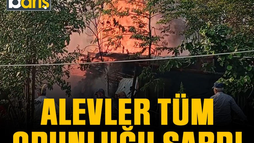 Kartepe’de alevler tüm odunluğu sardı
