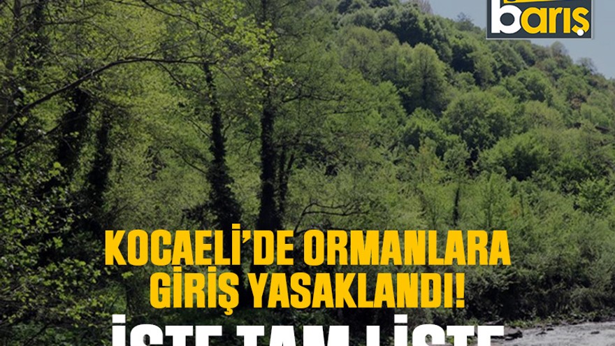 Kocaeli’de ormanlara giriş yasaklandı! İşte tam liste