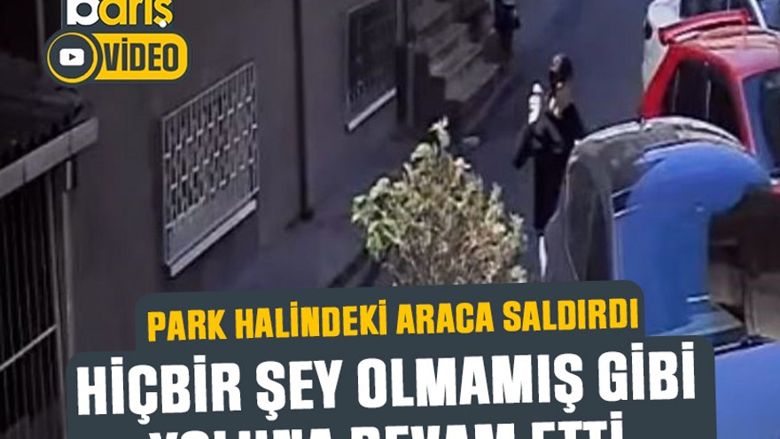 Kocaeli'de park halindeki araca saldırdı: Hiçbir şey olmamış gibi yoluna devam etti