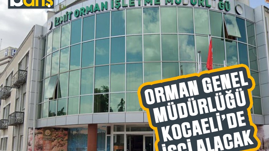 Orman Genel Müdürlüğü Kocaeli’de işçi alacak