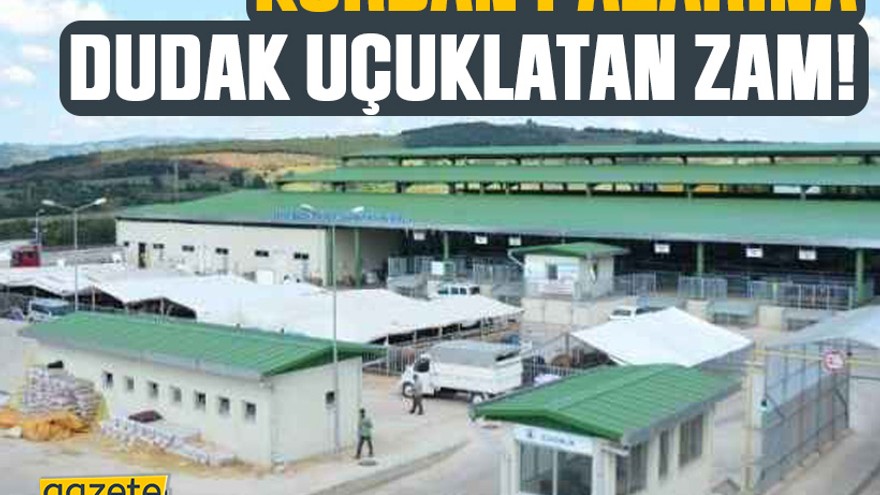 Bütçe fazlası veren Hürriyet’ten kurban pazarına dudak uçuklatan zam!