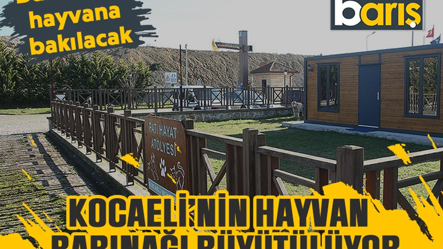 Kocaeli’nin hayvan barınağı büyütülüyor