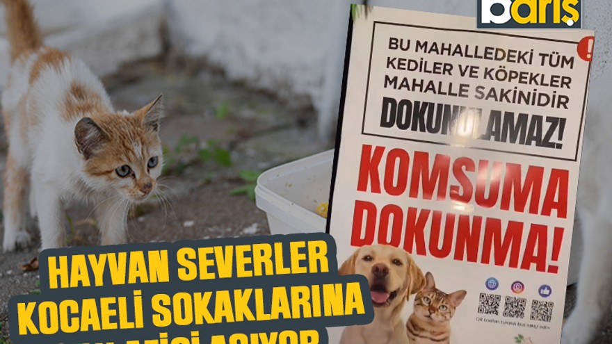 Hayvan severler Kocaeli sokaklarına bu afişi asıyor