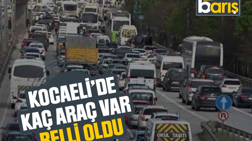 Kocaeli’de kaç araç var belli oldu