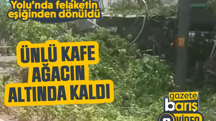 İzmit’te ünlü kafe ağaç altında kaldı!