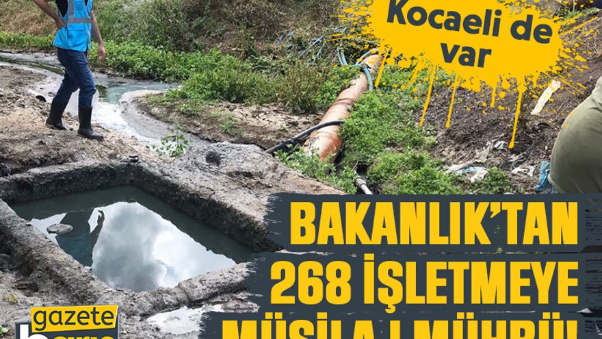 Kocaeli de var: Bakanlık’tan 268 işletmeye müsilaj mührü!