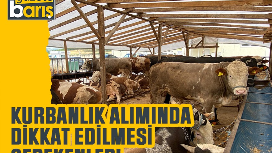 Kurbanlık alımında ve kesiminde dikkat edilmesi gerekenler!