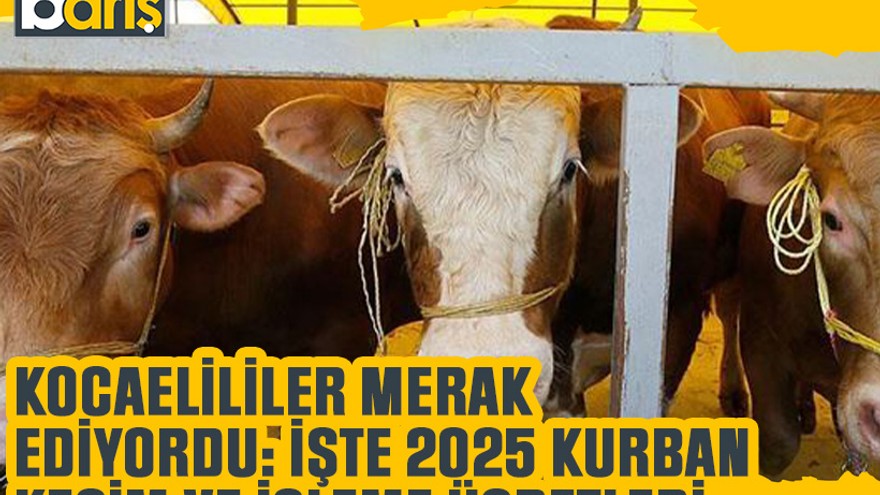 Kocaelililer merak ediyordu: İşte 2025 kurban kesim ve işleme ücretleri