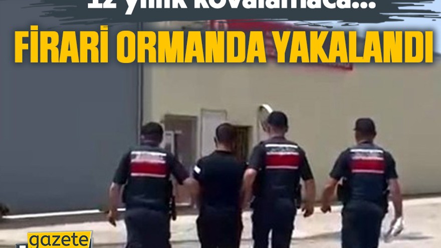 Kocaeli’de 12 yıl cezalı firari kovalamaca sonucu ormanda yakalandı