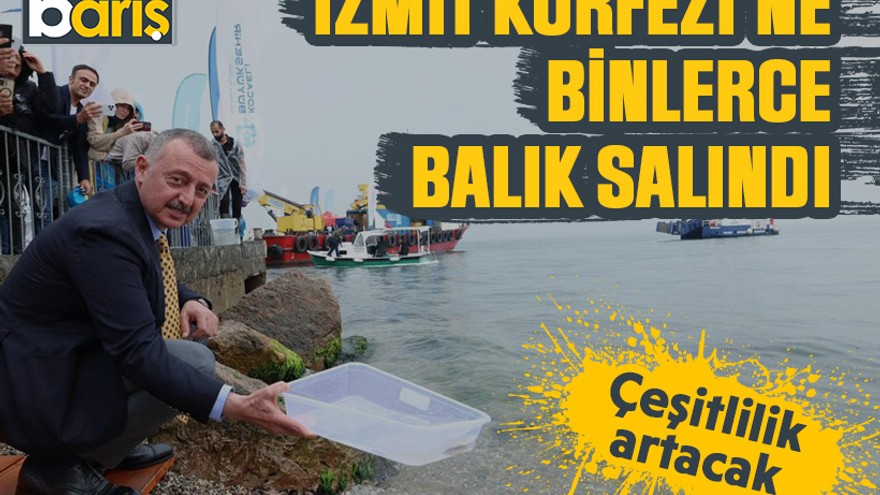 Biyoçeşitlilik artacak. İzmit Körfezi’ne binlerce balık salındı