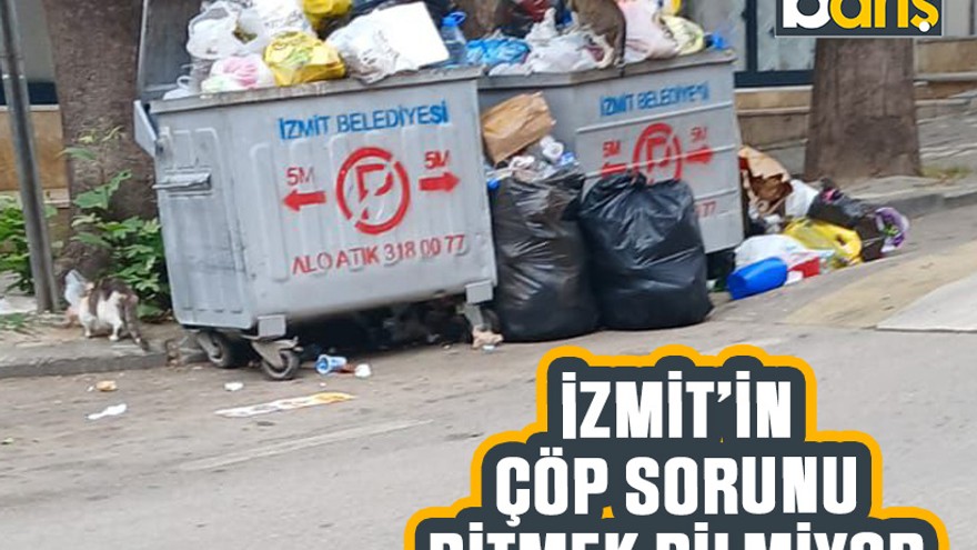 İzmit’in çöp sorunu bitmek bilmiyor