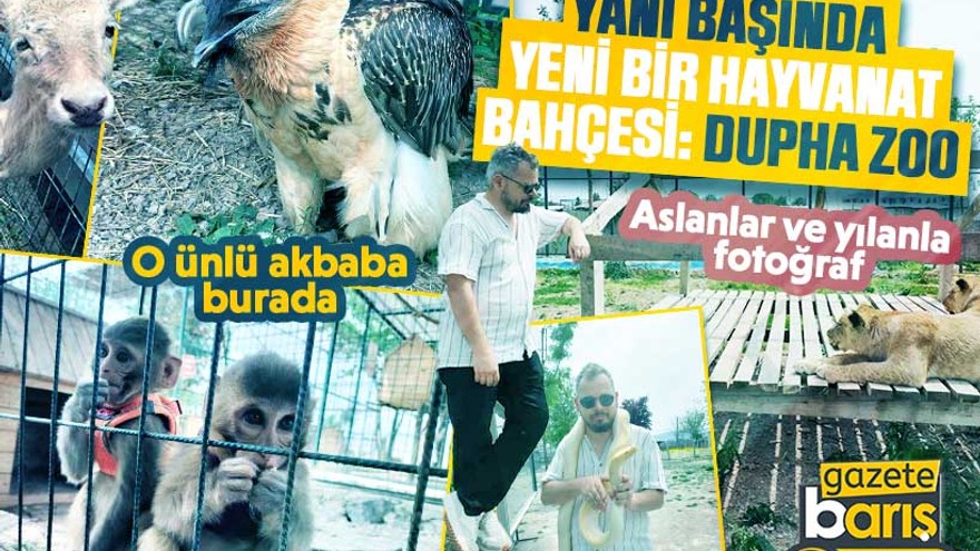 Kocaeli’nin yanı başında yeni bir hayvanat bahçesi: Dupha Zoo! Aslanlar ve yılanla fotoğraf çektirme imkanı