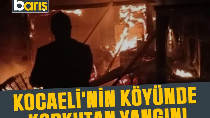 Kocaeli'nin köyünde korkutan yangın!