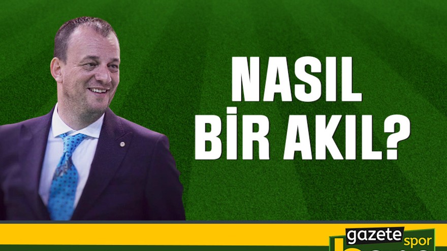 Nasıl bir akıl?