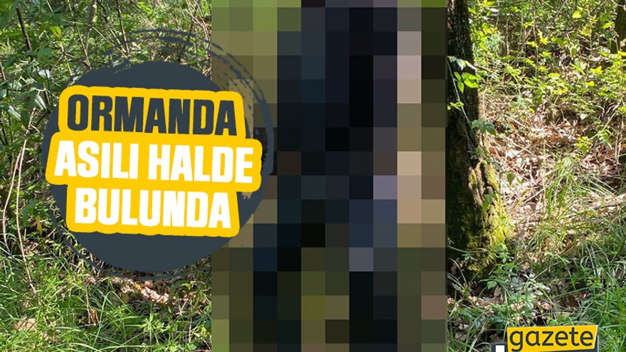 Kocaeli’de aranan şahıs ormanda asılı halde bulunda