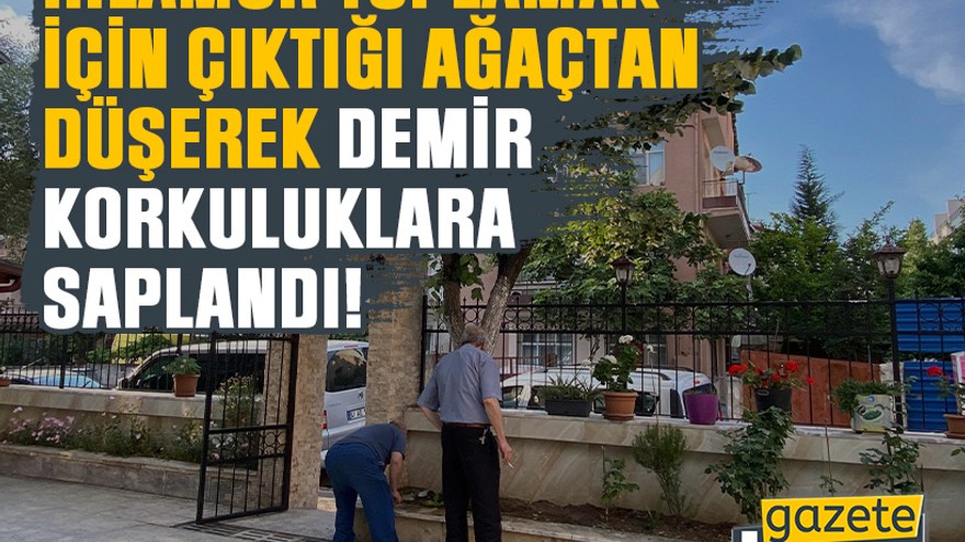 İzmit'te ıhlamur toplamak için çıktığı ağaçtan düşerek demir korkuluklara saplandı!