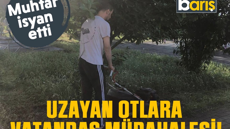 Muhtar isyan etti: Uzayan otlara vatandaş müdahalesi!