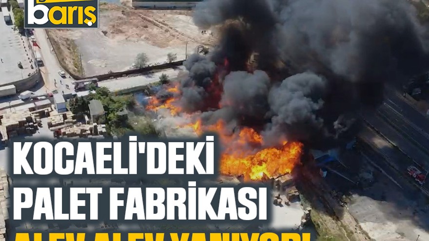 Kocaeli'deki palet fabrikası alev alev yanıyor!