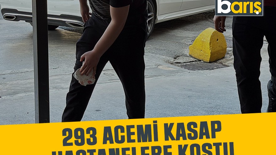 Komşuda 293 acemi kasap hastanelere koştu!