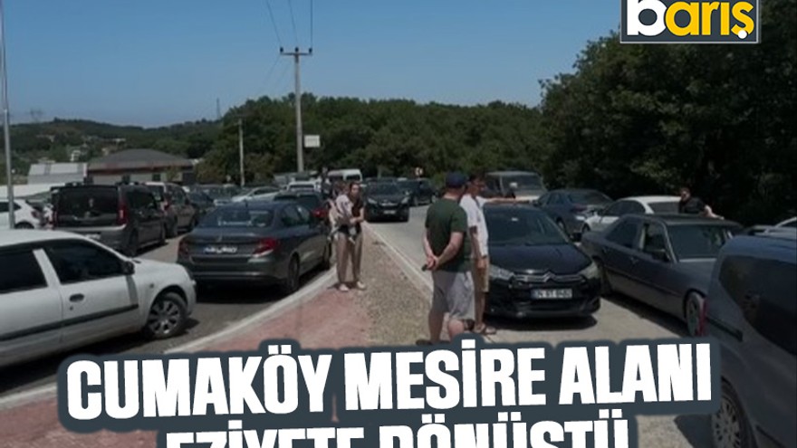 Cumaköy Mesire Alanı eziyete dönüştü