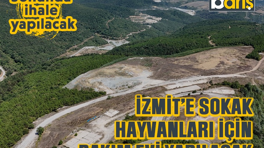 Sonunda ihale yapılacak: İzmit’e sokak hayvanları için bakım evi yapılacak